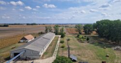 Raklapos és ömlesztett áru tárolására kiadó tárolók