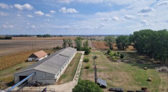 Raklapos és ömlesztett áru tárolására kiadó tárolók