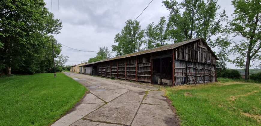 Bérbeadó raktár – rugalmas kialakítással, 0–24 órás hozzáféréssel