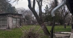 eladó hangulatos parasztház Vésztőn