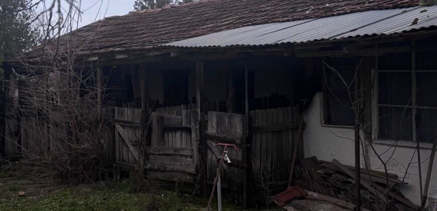 eladó hangulatos parasztház Vésztőn